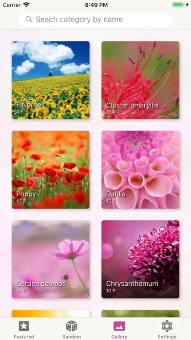 Capturas de pantalla de Flower Gallery