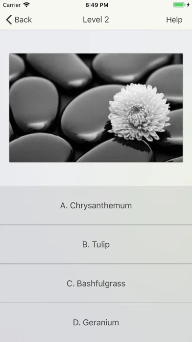 Capturas de pantalla de Flower Gallery