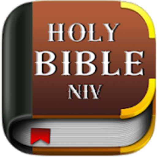Bible Bible