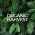 Organic Harvest- Beauty Shop