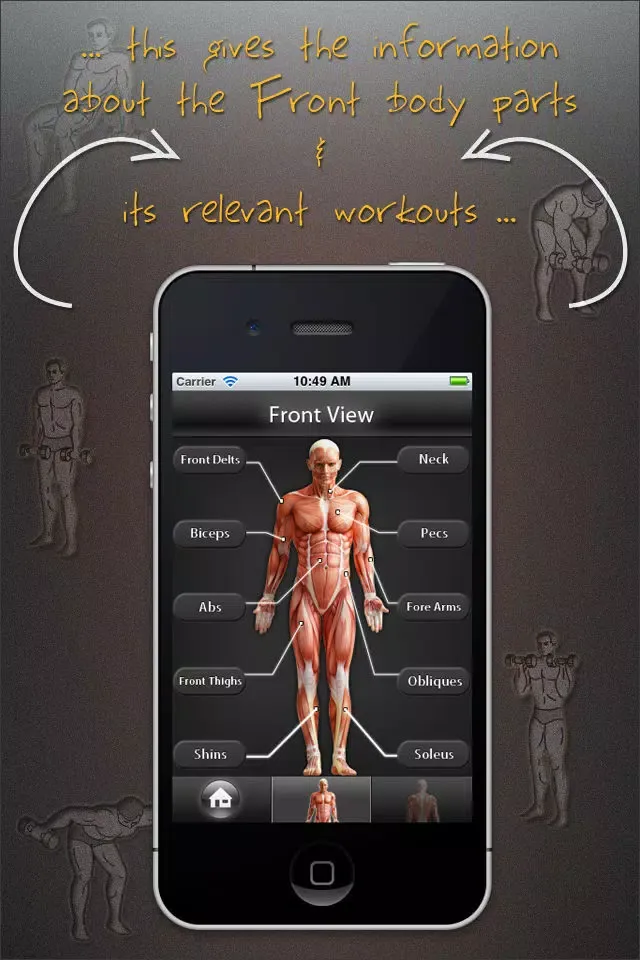 Pocket Gym Lite स्क्रीनशॉट