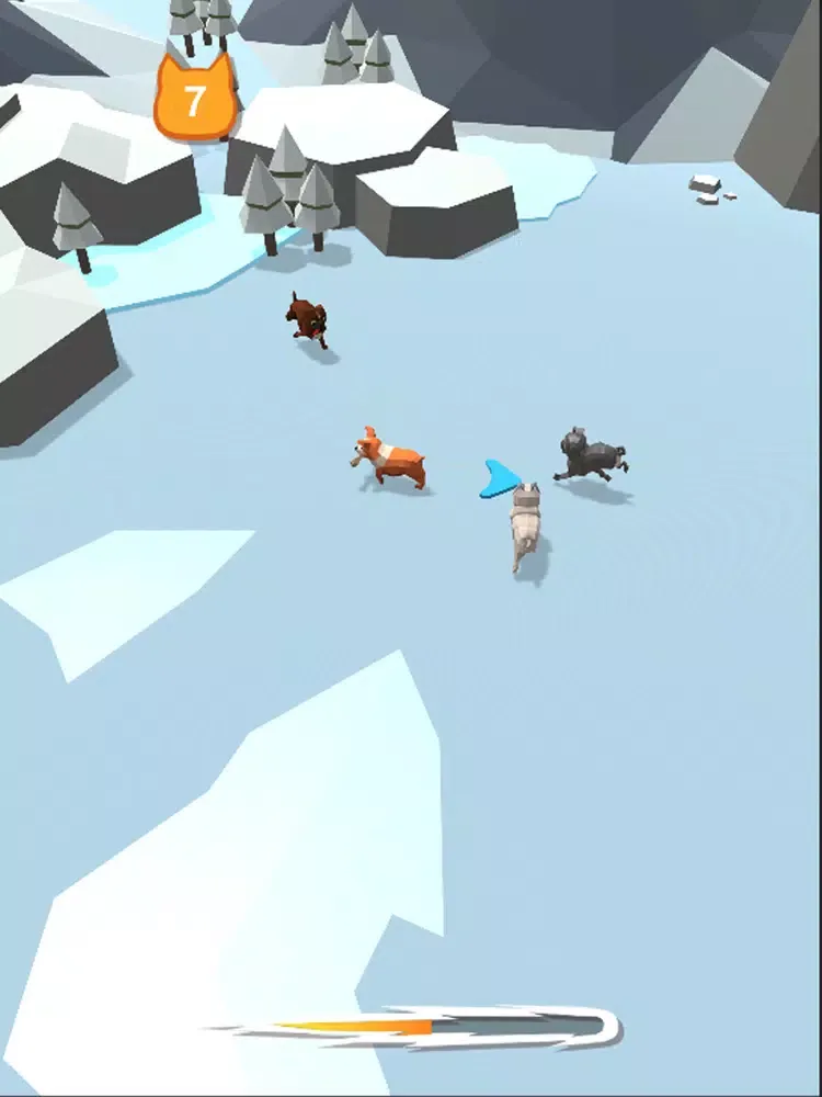 صور Crazy Dog 3D iPad 