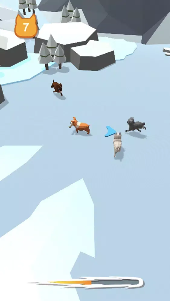 صور Crazy Dog 3D
