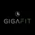 GigaFit