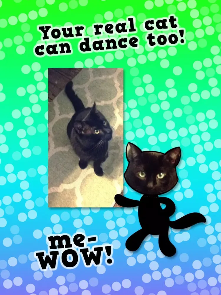 Capturas de pantalla de Disco Cats Augmented Reality iPad 