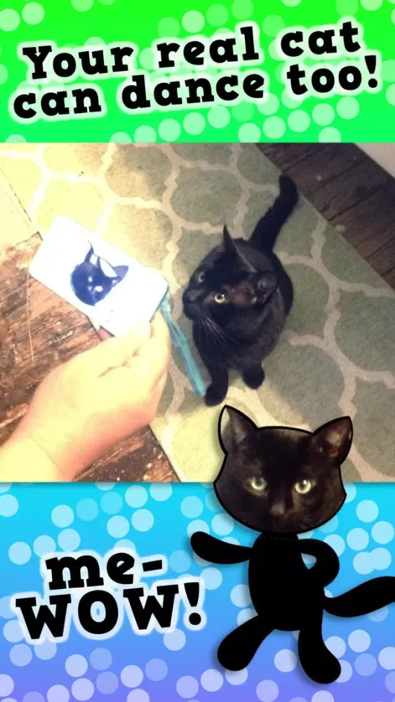 Capturas de pantalla de Disco Cats Augmented Reality