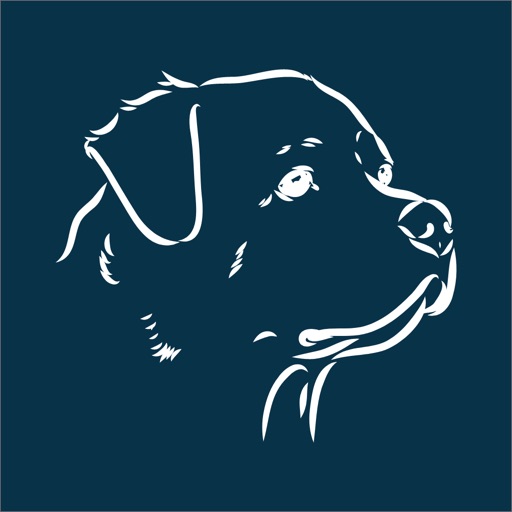 OrionVerse AI-Powered Learning