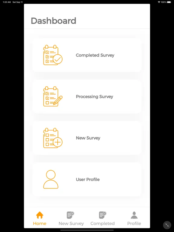 Скриншоты Audit Smart iPad 