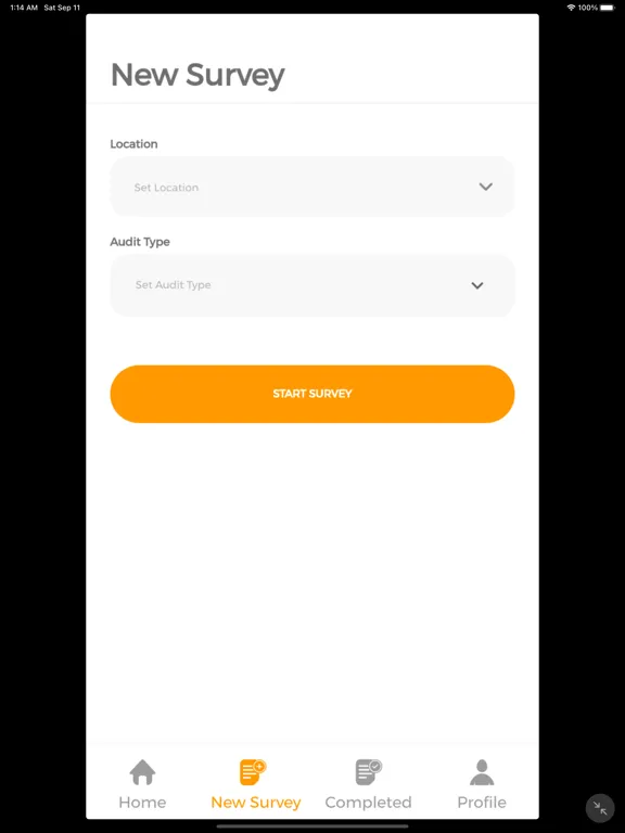 Скриншоты Audit Smart iPad 