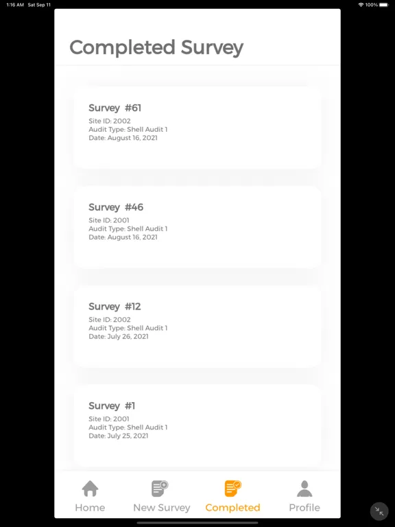 Скриншоты Audit Smart iPad 