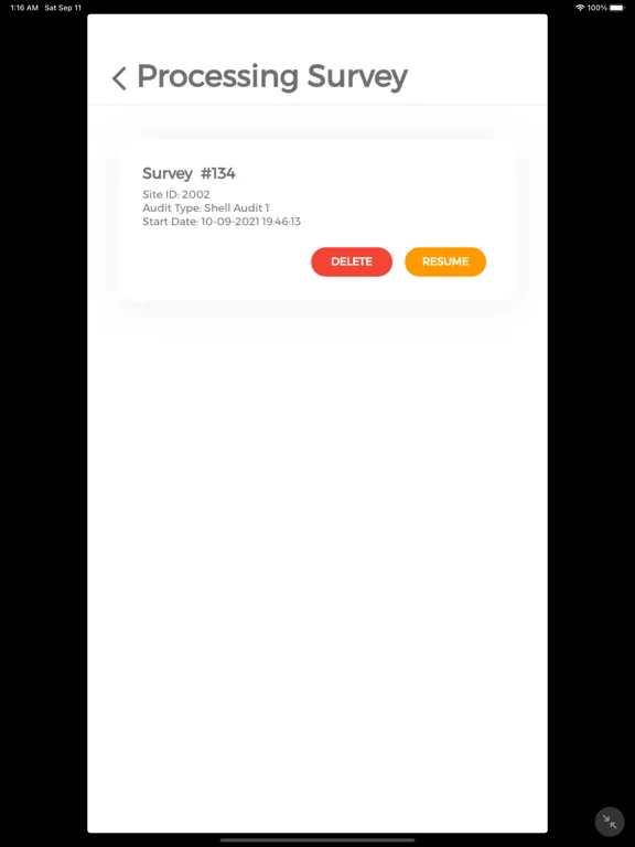 Скриншоты Audit Smart iPad 