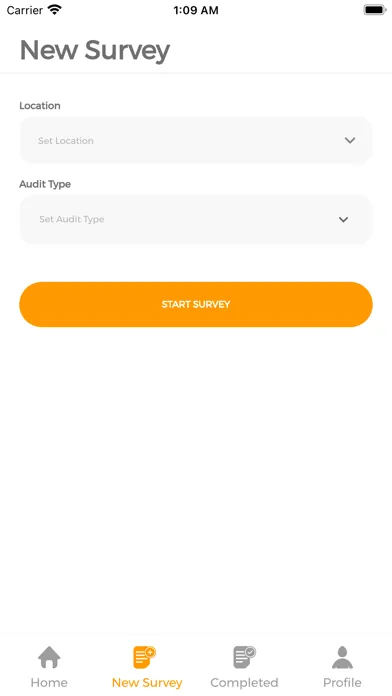 Скриншоты Audit Smart
