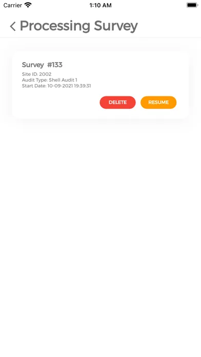 Скриншоты Audit Smart