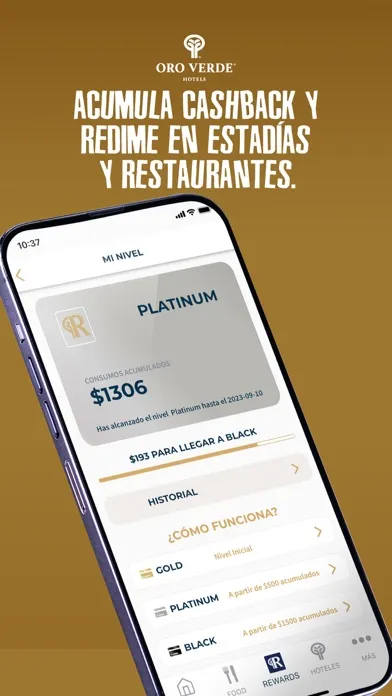 Ảnh chụp màn hình của Hoteles Oro Verde