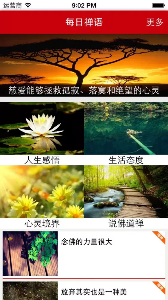 Zrzuty ekranu 每日禅语