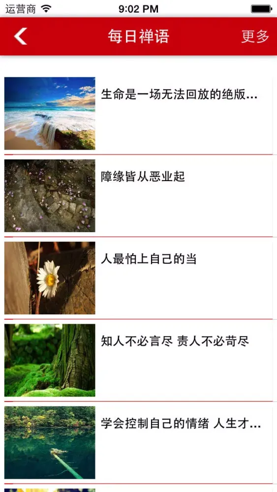 Zrzuty ekranu 每日禅语
