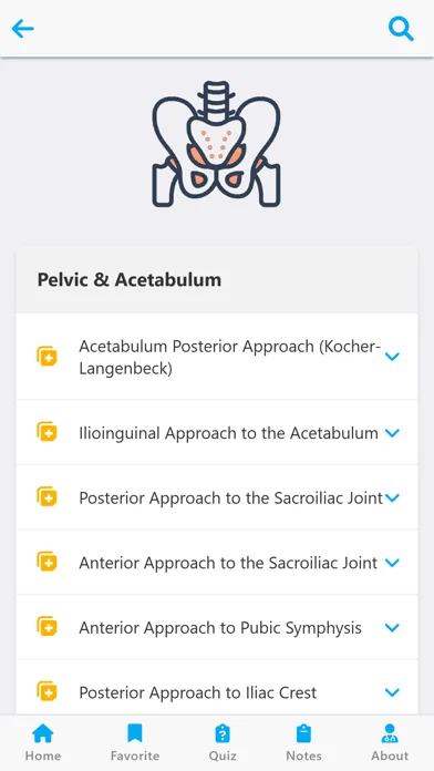Orthopedic Approaches Lite Screenshots