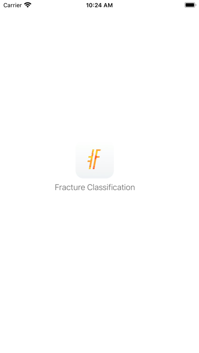 Fracture Classification (FC) スクリーンショット
