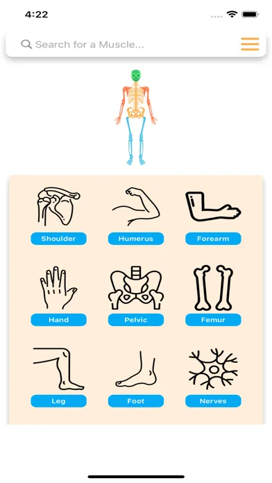 Ảnh chụp màn hình của Orthopedic Limbs Anatomy