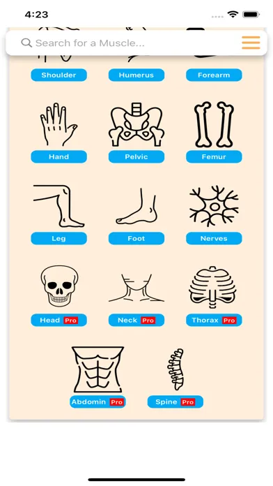 Ảnh chụp màn hình của Orthopedic Limbs Anatomy
