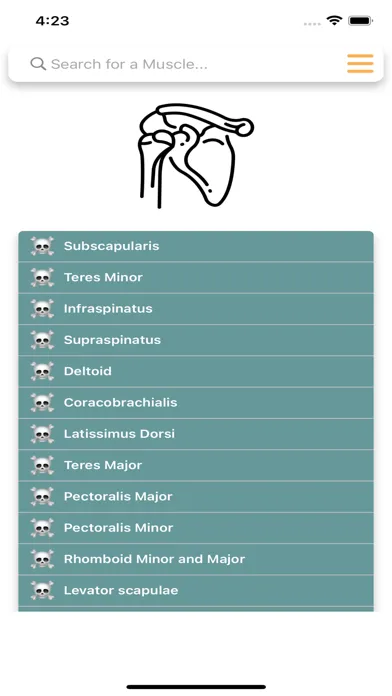 Ảnh chụp màn hình của Orthopedic Limbs Anatomy