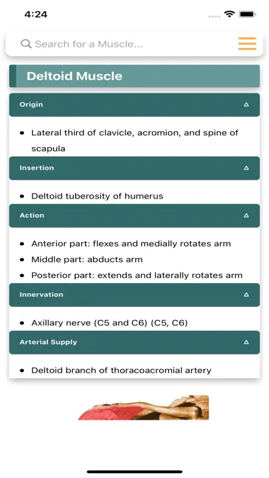 Ảnh chụp màn hình của Orthopedic Limbs Anatomy