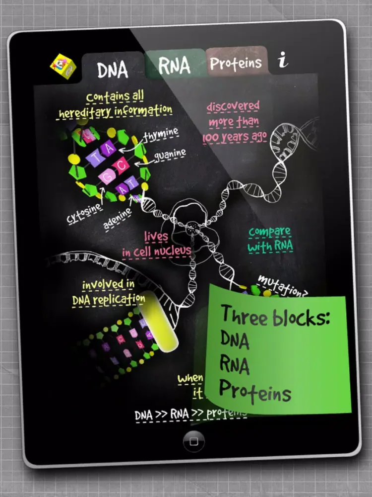iMolekula: DNA, RNA, proteins iPad  स्क्रीनशॉट