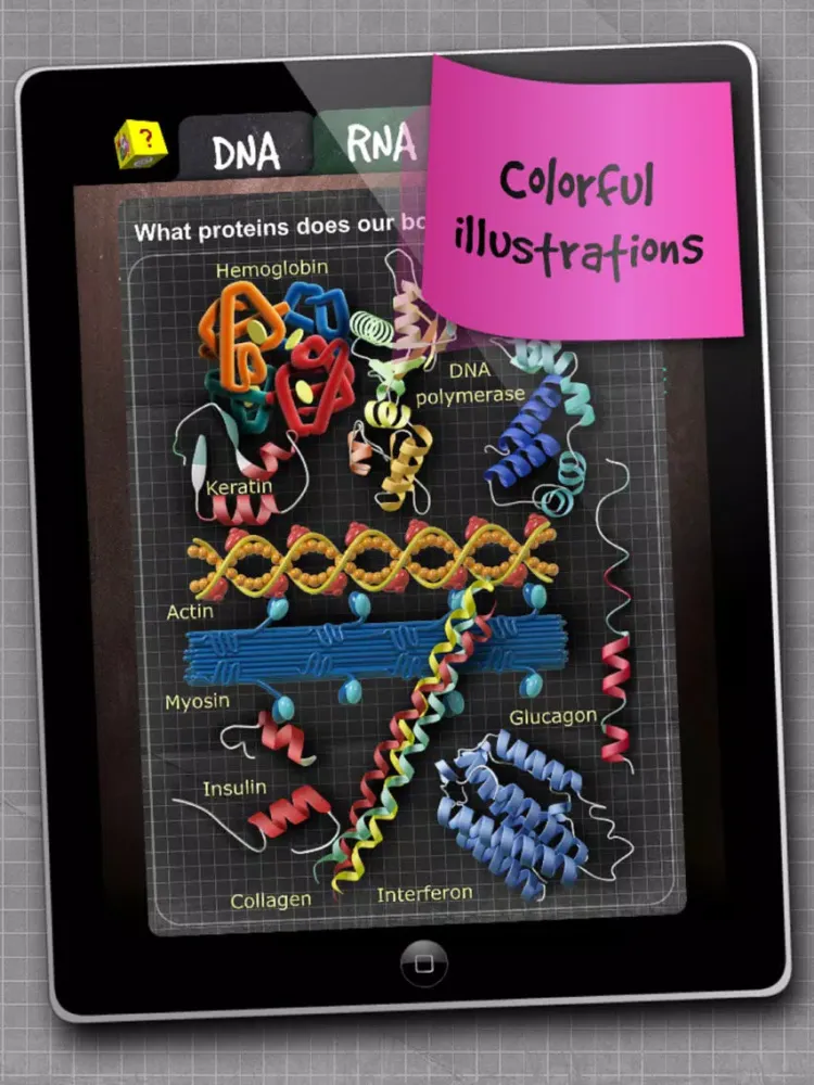 iMolekula: DNA, RNA, proteins iPad  स्क्रीनशॉट
