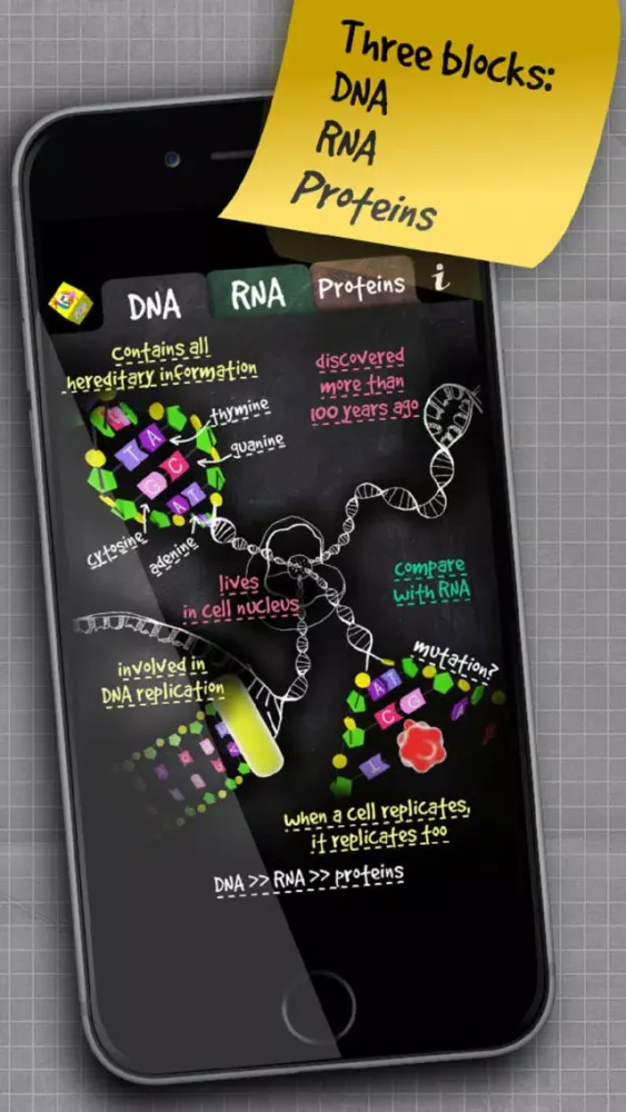 iMolekula: DNA, RNA, proteins स्क्रीनशॉट