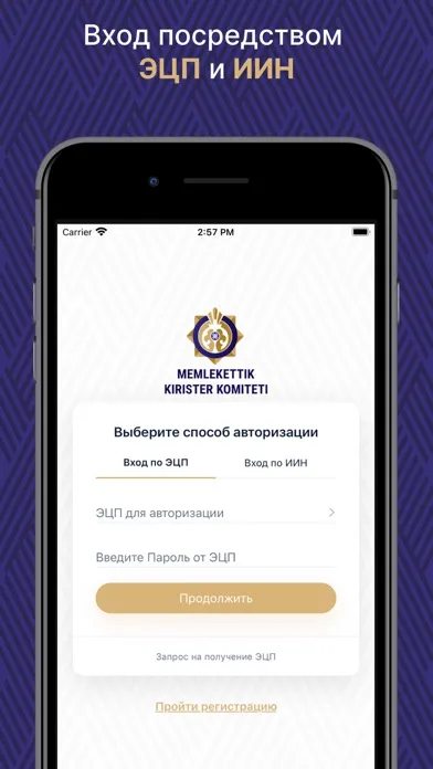 Скриншоты ИС ЭСФ