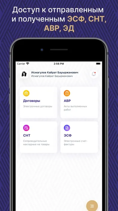 Скриншоты ИС ЭСФ