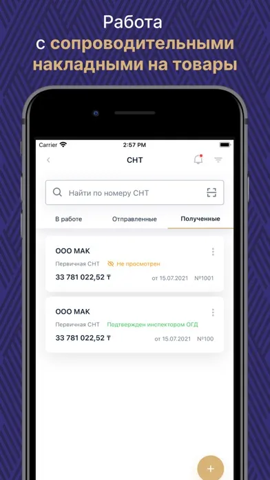 Скриншоты ИС ЭСФ