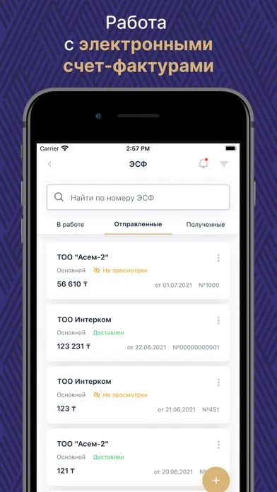 Скриншоты ИС ЭСФ