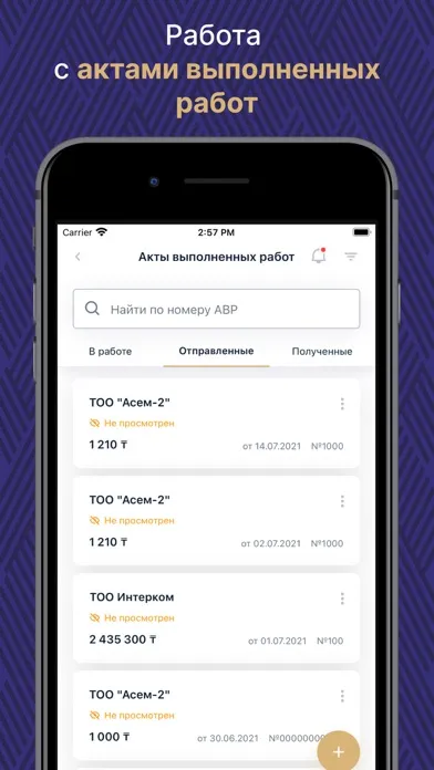 Скриншоты ИС ЭСФ