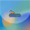 Island Pet