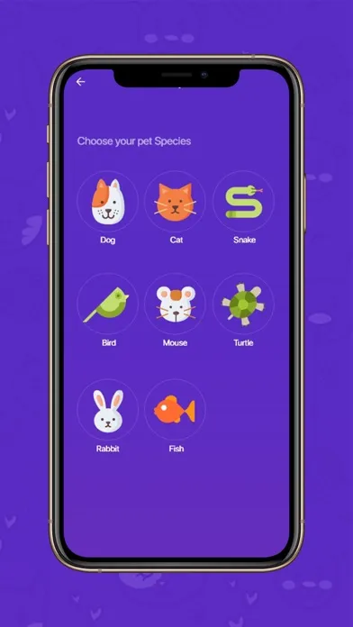 Screenshot di Yarmouk Vet Clinic