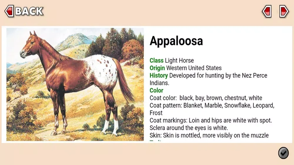 Tangkapan layar Total Horse