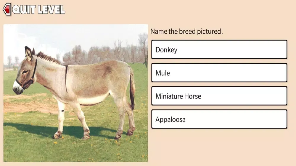 Tangkapan layar Total Horse