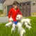 Virtual Cute Pet Dog 3D Games