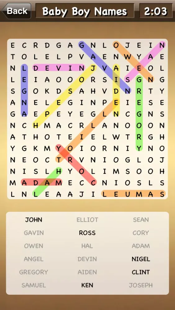 WordSearch Power স্ক্রিনশট