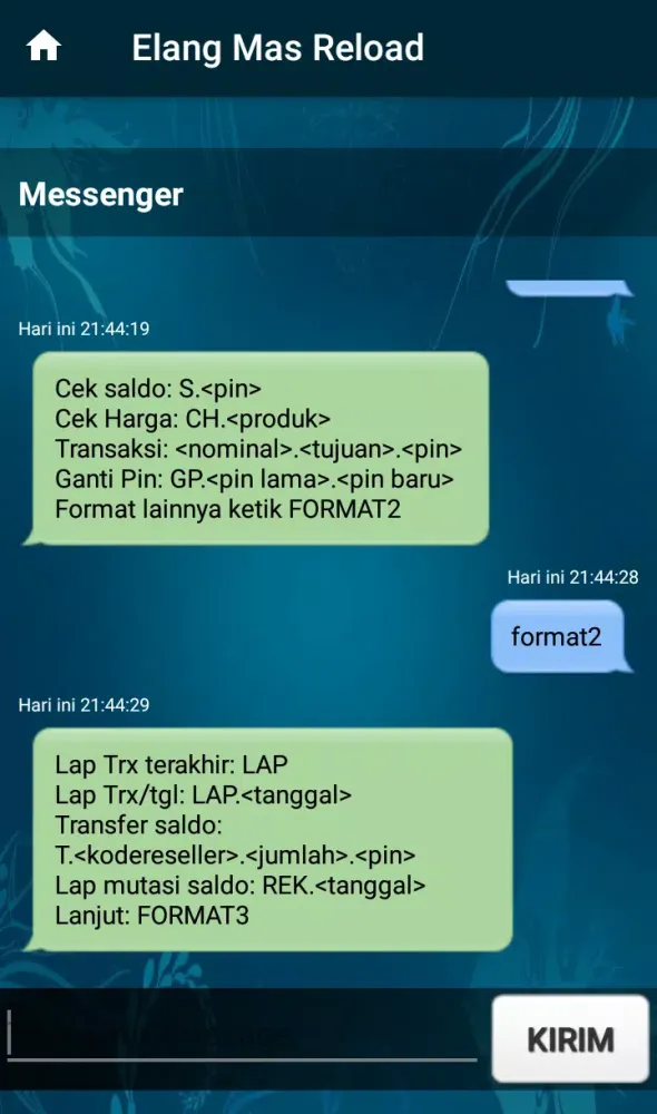 Elang Mas Reload应用截图