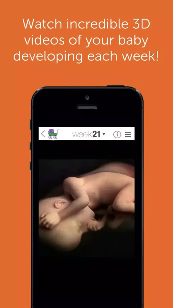 تصاویر My Pregnancy Long Beach