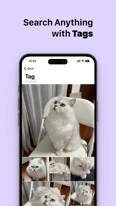 AI Photo Finder应用截图