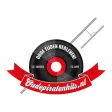 Oude Piraten Hits