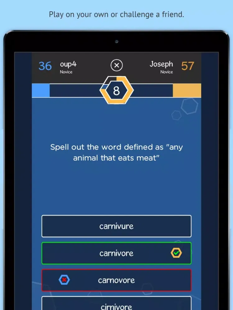 Word Champions iPad 应用截图