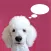 AnimalAnalysis