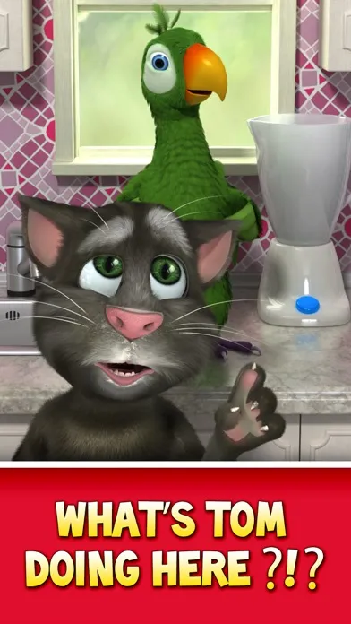 Capturas de tela do Talking Pierre the Parrot