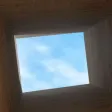 Home Prisoner Escape