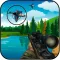 Shot Bird Hunting Experiennce