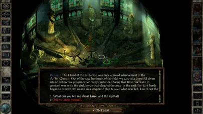 Icewind Dale Ekran Görüntüleri